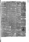 Abergavenny Chronicle Saturday 25 April 1874 Page 3