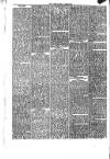 Abergavenny Chronicle Saturday 25 April 1874 Page 6