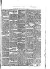Abergavenny Chronicle Saturday 16 May 1874 Page 5