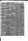 Abergavenny Chronicle Saturday 20 June 1874 Page 3