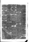 Abergavenny Chronicle Saturday 27 June 1874 Page 7