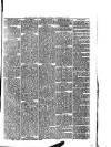 Abergavenny Chronicle Saturday 19 September 1874 Page 7
