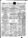 Abergavenny Chronicle Saturday 17 April 1875 Page 1