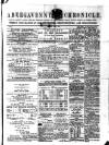 Abergavenny Chronicle Saturday 17 July 1875 Page 1