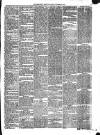 Abergavenny Chronicle Saturday 13 November 1875 Page 3