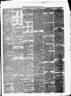 Abergavenny Chronicle Saturday 30 June 1877 Page 3