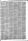 Abergavenny Chronicle Friday 03 June 1887 Page 3