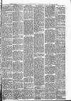 Abergavenny Chronicle Friday 28 October 1887 Page 3