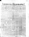 Dublin Evening Telegraph Monday 15 January 1877 Page 1