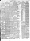 Dublin Evening Telegraph Saturday 10 February 1877 Page 3