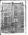 Dublin Evening Telegraph Friday 23 March 1877 Page 1