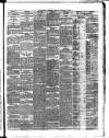 Dublin Evening Telegraph Monday 04 February 1878 Page 3