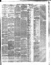 Dublin Evening Telegraph Saturday 23 February 1878 Page 3