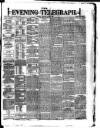 Dublin Evening Telegraph Thursday 04 April 1878 Page 1