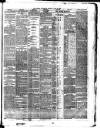 Dublin Evening Telegraph Thursday 04 April 1878 Page 3