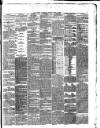 Dublin Evening Telegraph Tuesday 09 April 1878 Page 3