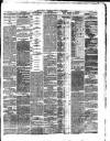 Dublin Evening Telegraph Tuesday 23 April 1878 Page 3
