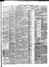 Dublin Evening Telegraph Saturday 04 May 1878 Page 3