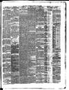 Dublin Evening Telegraph Thursday 25 July 1878 Page 3