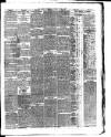 Dublin Evening Telegraph Saturday 14 June 1879 Page 3