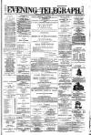 Dublin Evening Telegraph Saturday 01 May 1880 Page 1