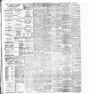 Dublin Evening Telegraph Wednesday 06 April 1887 Page 2