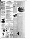 Dublin Evening Telegraph Saturday 06 April 1889 Page 3