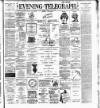 Dublin Evening Telegraph