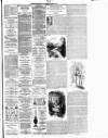 Dublin Evening Telegraph Saturday 26 October 1889 Page 3