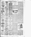 Dublin Evening Telegraph Saturday 29 March 1890 Page 3