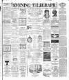 Dublin Evening Telegraph Thursday 08 January 1891 Page 1