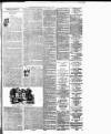 Dublin Evening Telegraph Saturday 07 March 1891 Page 7
