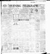 Dublin Evening Telegraph Tuesday 01 January 1895 Page 1