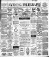 Dublin Evening Telegraph Wednesday 30 January 1895 Page 1