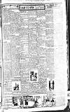 Dublin Evening Telegraph Friday 18 January 1924 Page 3