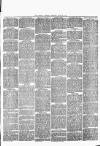 Witney Gazette and West Oxfordshire Advertiser Saturday 30 June 1883 Page 3