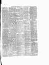 Tenbury Wells Advertiser Tuesday 23 December 1873 Page 7