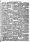 Tenbury Wells Advertiser Tuesday 10 February 1874 Page 3
