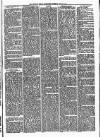 Tenbury Wells Advertiser Tuesday 15 June 1875 Page 5