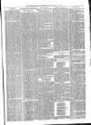 Tenbury Wells Advertiser Tuesday 12 August 1879 Page 5