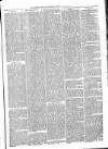 Tenbury Wells Advertiser Tuesday 08 January 1878 Page 5