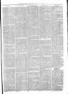 Tenbury Wells Advertiser Tuesday 22 January 1878 Page 5