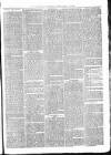 Tenbury Wells Advertiser Tuesday 12 February 1878 Page 3