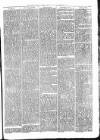 Tenbury Wells Advertiser Tuesday 12 February 1878 Page 5