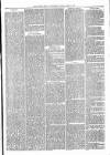 Tenbury Wells Advertiser Tuesday 09 April 1878 Page 5