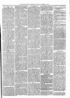 Tenbury Wells Advertiser Tuesday 10 December 1878 Page 3