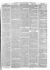 Tenbury Wells Advertiser Tuesday 10 December 1878 Page 5