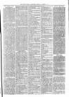 Tenbury Wells Advertiser Tuesday 17 December 1878 Page 3