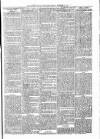 Tenbury Wells Advertiser Tuesday 17 December 1878 Page 7