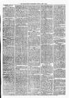 Tenbury Wells Advertiser Tuesday 08 April 1879 Page 3